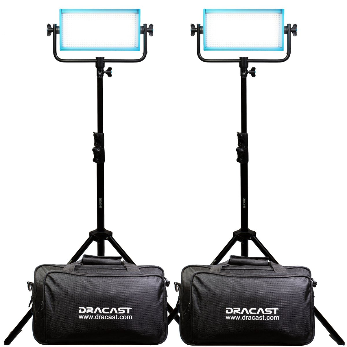 Dracast Pro Series LED500 - Daylight 2 Light Kit