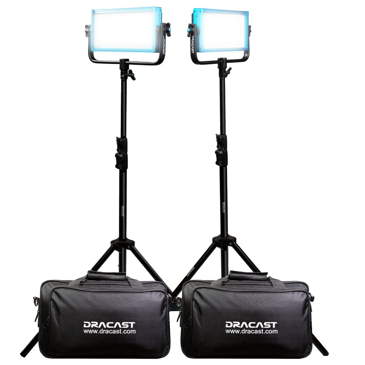 Dracast Pro Series LED500 - Daylight 2 Light Kit