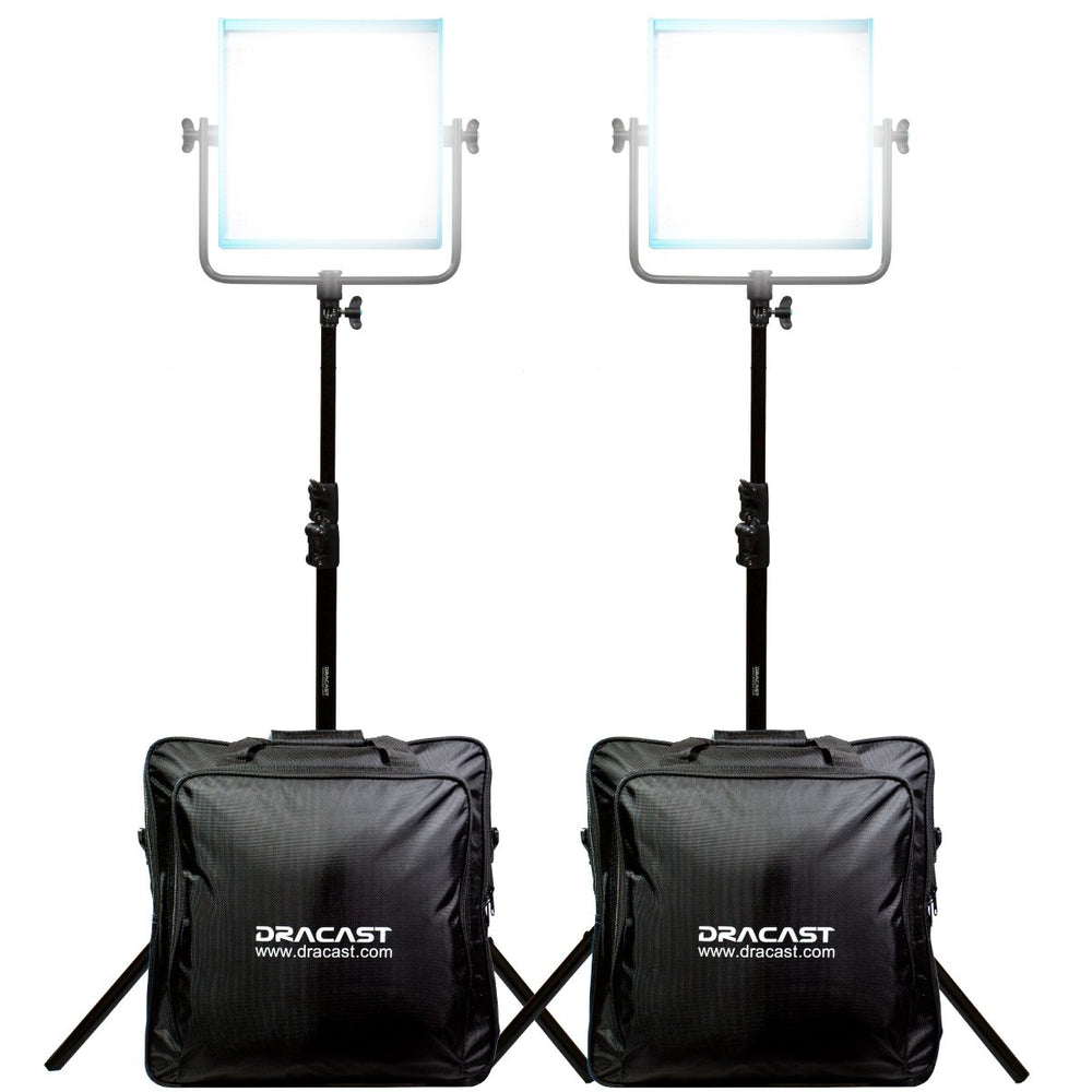 Dracast Pro Series LED1000 - Daylight 2 Light Kit