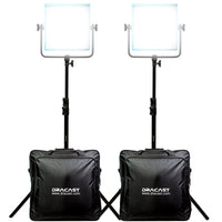 Dracast Pro Series LED1000 - Daylight 2 Light Kit