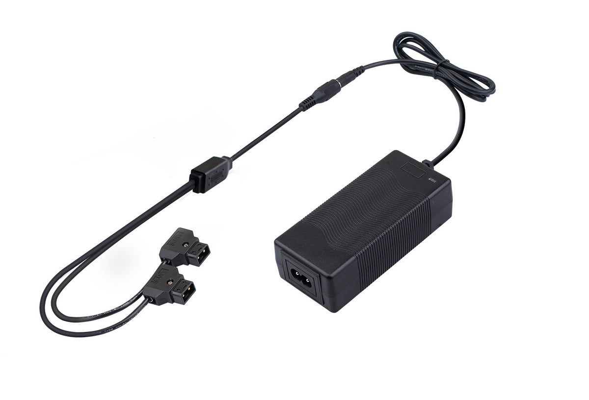 SWIT Portable Dual D-tap Heads Fast Charger (PC-U130B2)