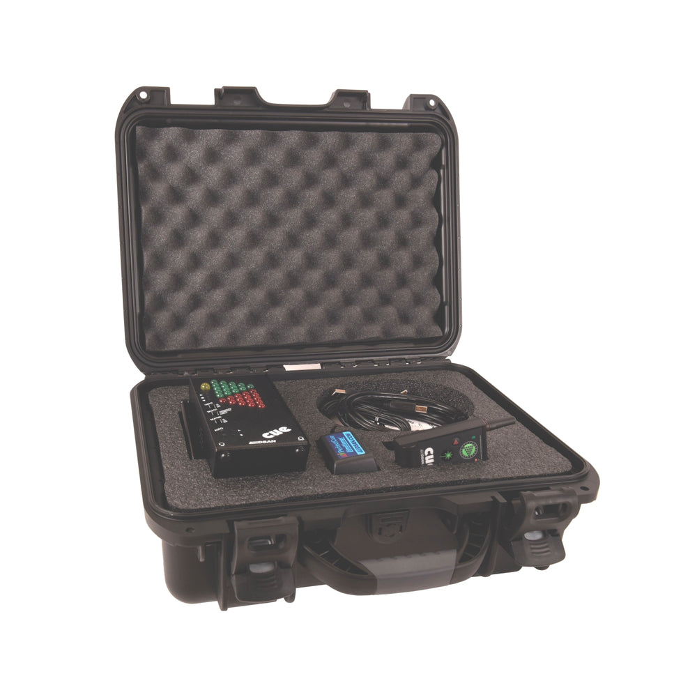 DSAN PerfectCue System with 2 button Transmitter