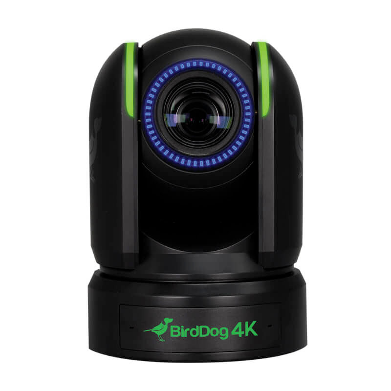 BirdDog P4K Full NDI® PTZ Camera - Black