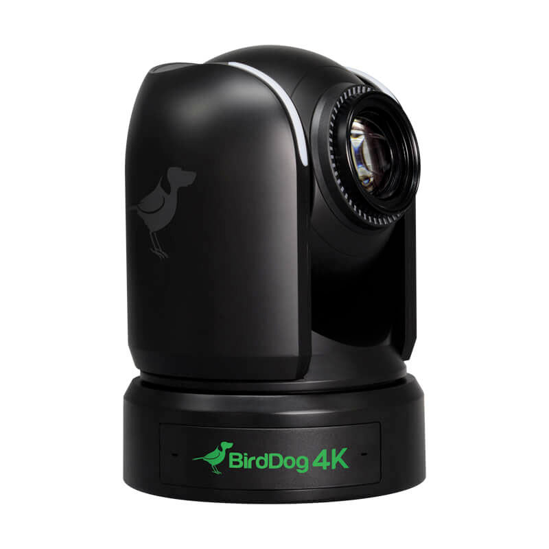 BirdDog P4K Full NDI® PTZ Camera - Black