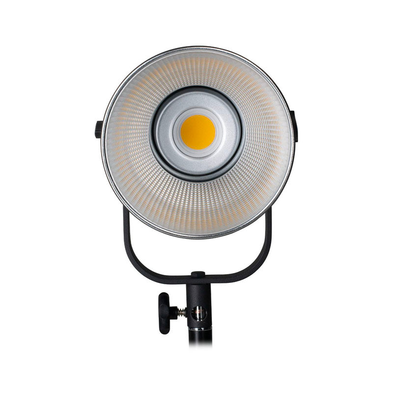 Nanlite Forza 200 LED Light