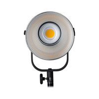 Nanlite Forza 200 LED Light